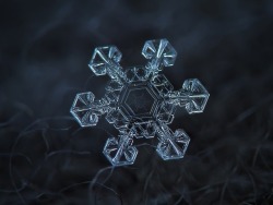 elysemarshall:  latimes:  pbsdigitalstudios:  It’s that time of year again! Check out these incredible images of snowflakes under a microscope by Alexey Kljatov.  A happy Friday to our follows - each of them a unique snowflake!  Nature never ceases