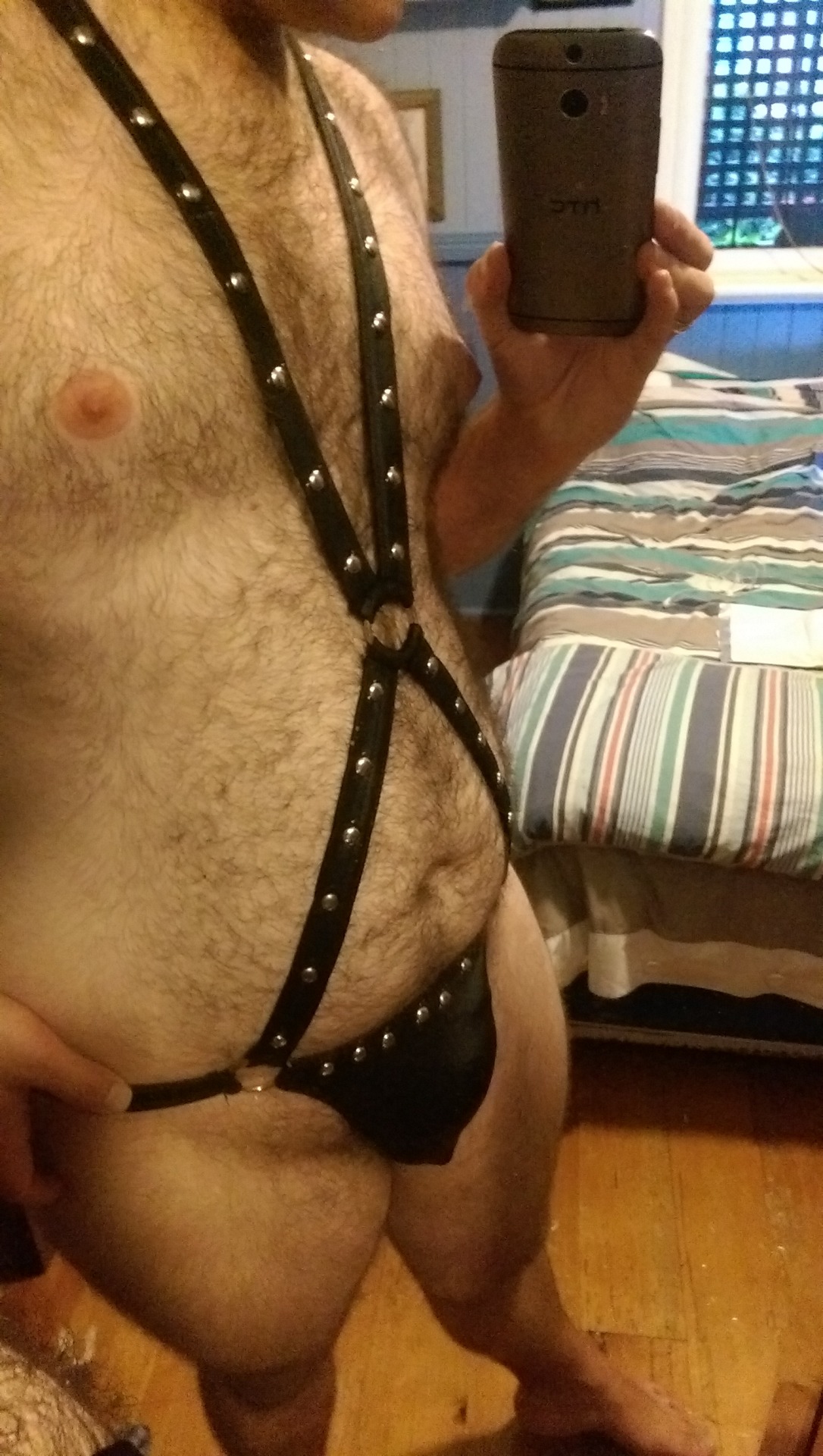 aussiebearcub:  This just arrived in the mail and I thought I’d share (sadly it’s