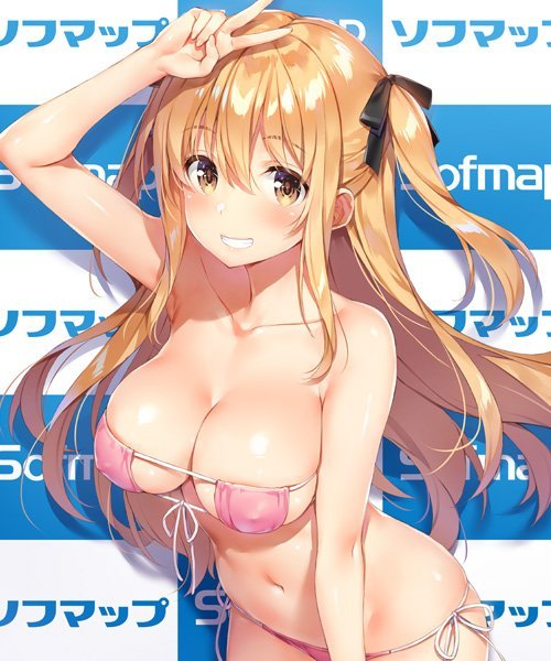 yuukihagure: &ldquo;【C95】冬コミのソフマップさんのブースのグッズイラストを一点描かせていただきました。タペストリーとクリアファイルになるそうです。有名なソフマップ背景に