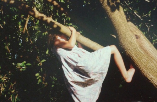 abattoirette: eight years old in the mulberry tree