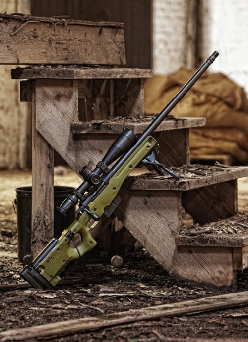 XXX weaponslover:  Accuracy International L115A3 photo