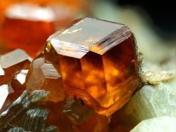 themineralogist:  Hessonite (by yaiba0390)