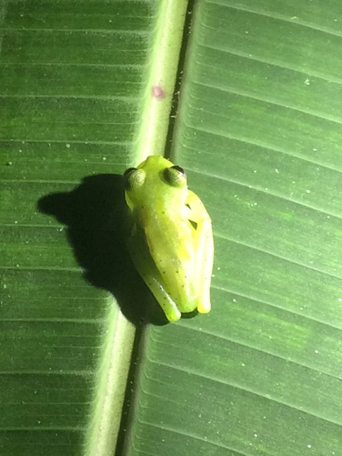 Continuing on the photos from the course, here are a few of the critters we encountered!