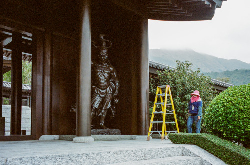 Tsz Shan Monastery, Hong Kong, Mar 2021