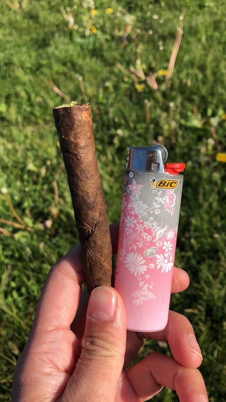 stonerjpeg:  Blunts from yesterday ❤️