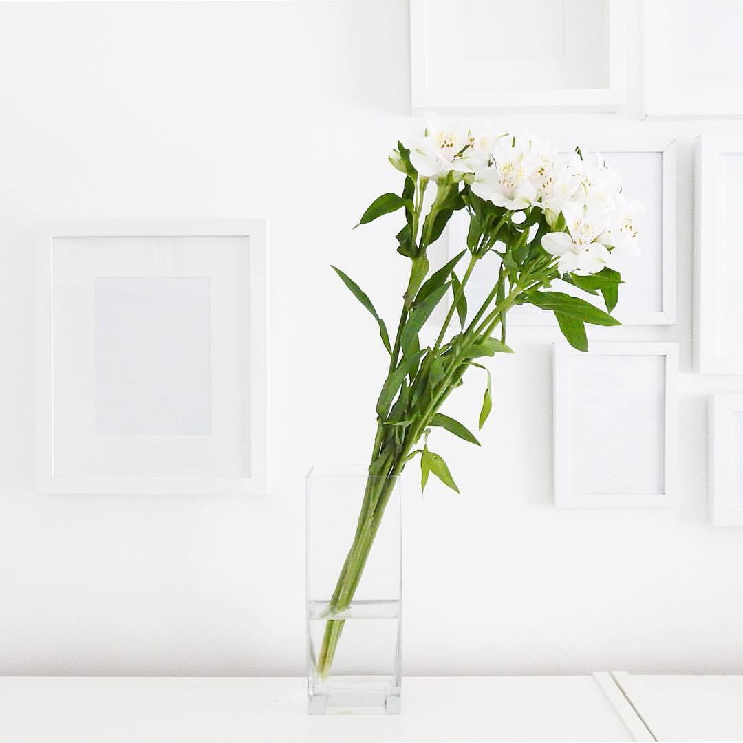 byboonsita:  #minimal #minimalist #minimalism #homedecor #interior #greenery #plant