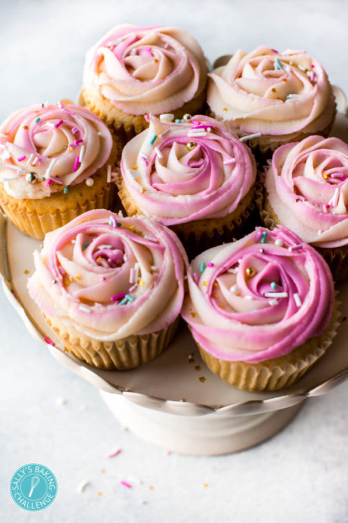 cupcakes with two-toned frosting roses.