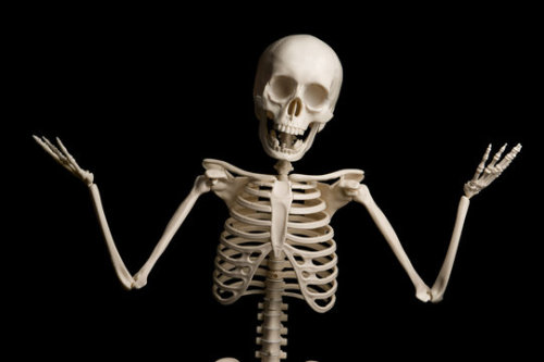 Everyone Loves Bones!