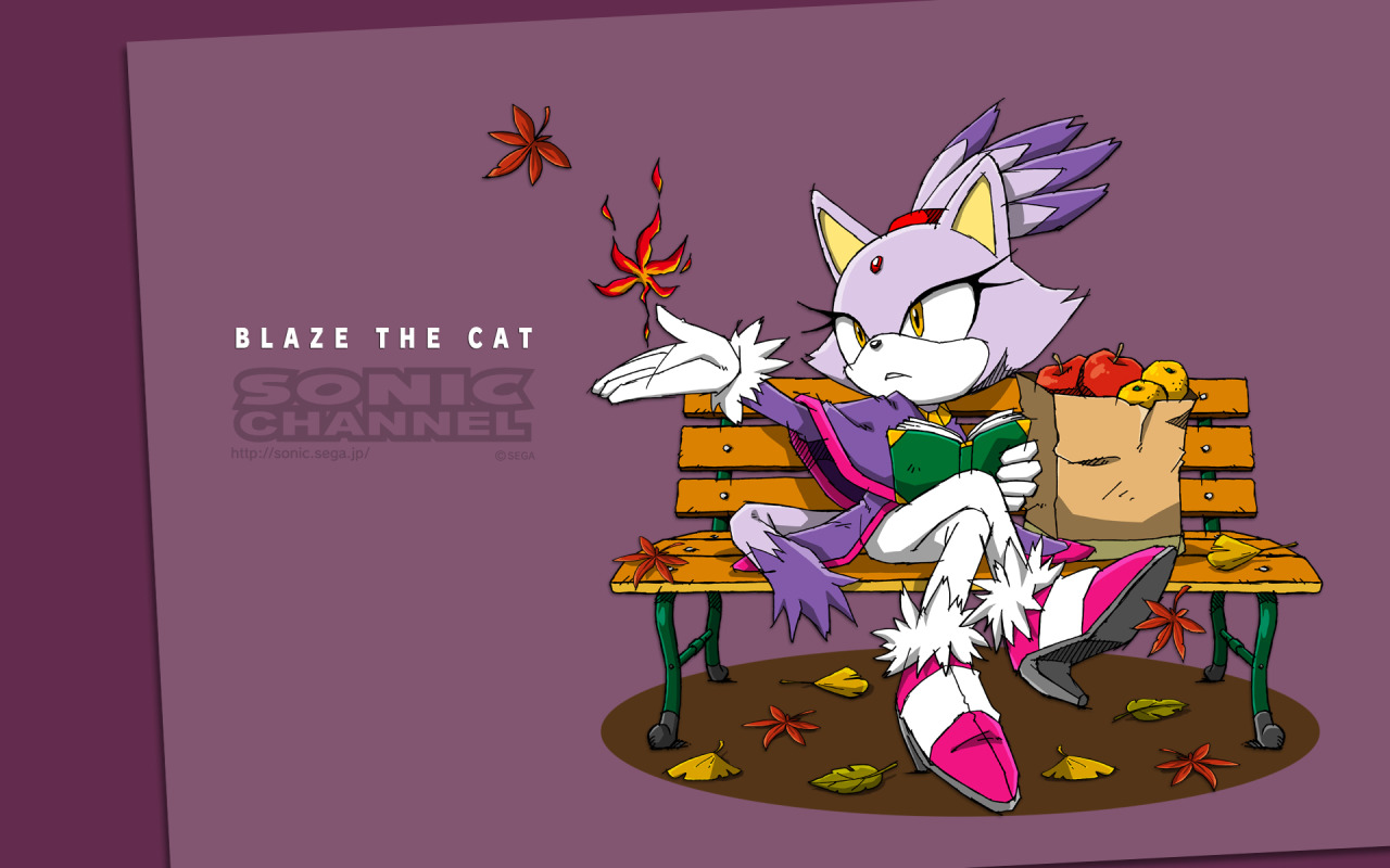 pikachu-used-volt-tackle:  Various Sonic Channel wallpapers, featuring Silver and