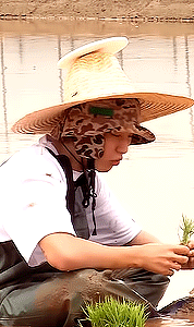 Hoshi In Gose 2021: Planting Rice And Making Bets #1