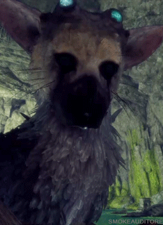 smokeauditore:Trico being so cute   （*´▽｀*）   No, not porn.Just one of