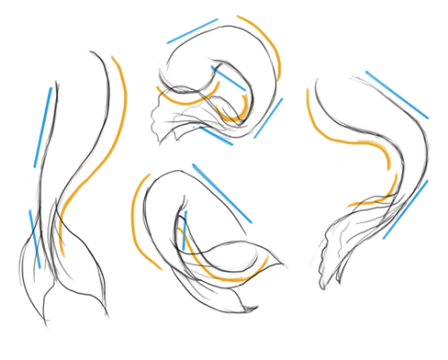 How To Draw Mermaids For MerMay Coming Up Next Month?