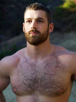 Damn,,,,Woof, Woof….