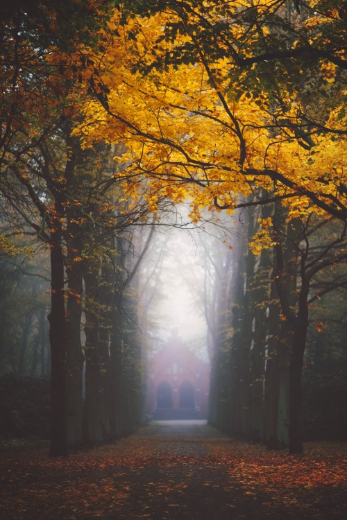 meolog:silent walk