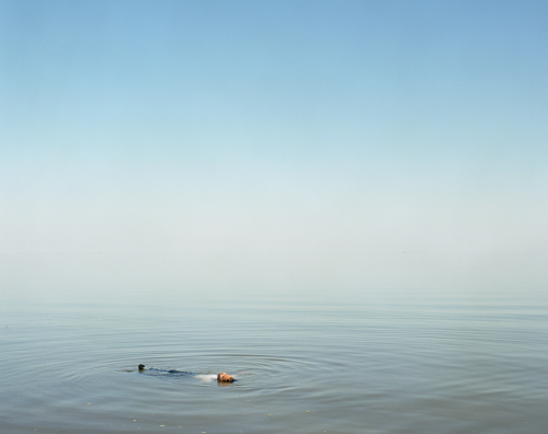 iylshowcase: It’s your last weekend to catch Ron Jude’s solo exhibition at the Gallery Luisotti in S