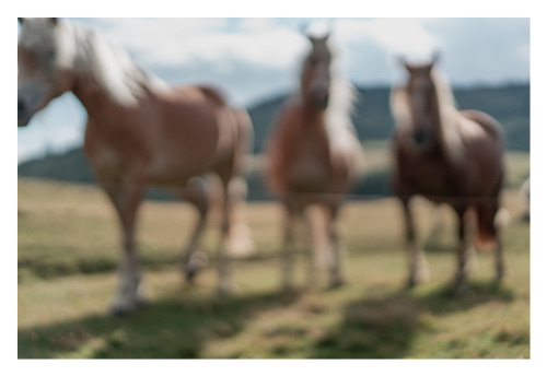 “geblinzelt” / “blinked” / Styria / Austria “ ©julialametta