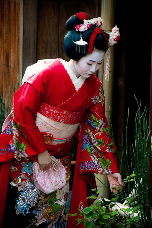 thekimonogallery - Maiko henshin in Kyoto, Japan.  Photography by...