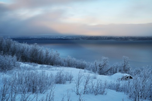 scandinaviapictures:    Abisko National Park, Sweden (by Lucie Julien)