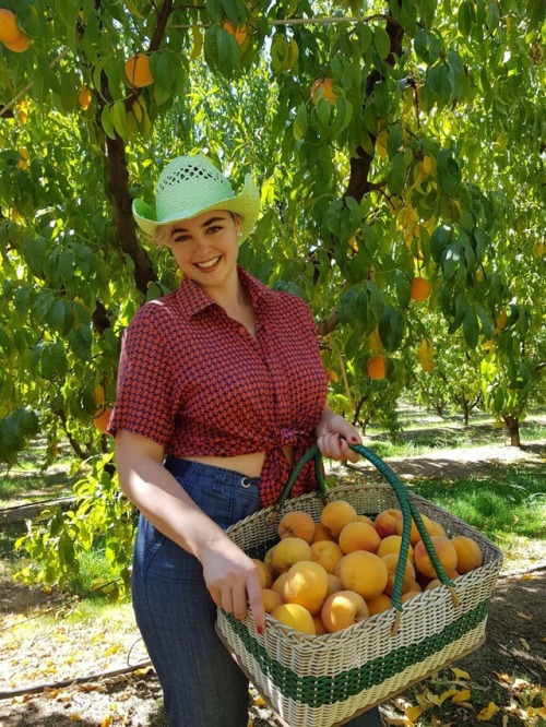 stefaniaferrario:Collecting peaches in Cobram Peachjack X3