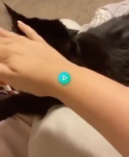 hitmewithcute