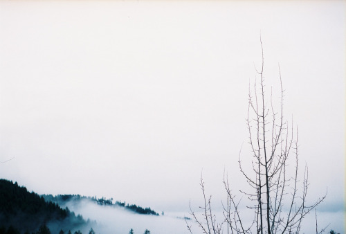 sixthstop: Untitled by this one chirps on Flickr.