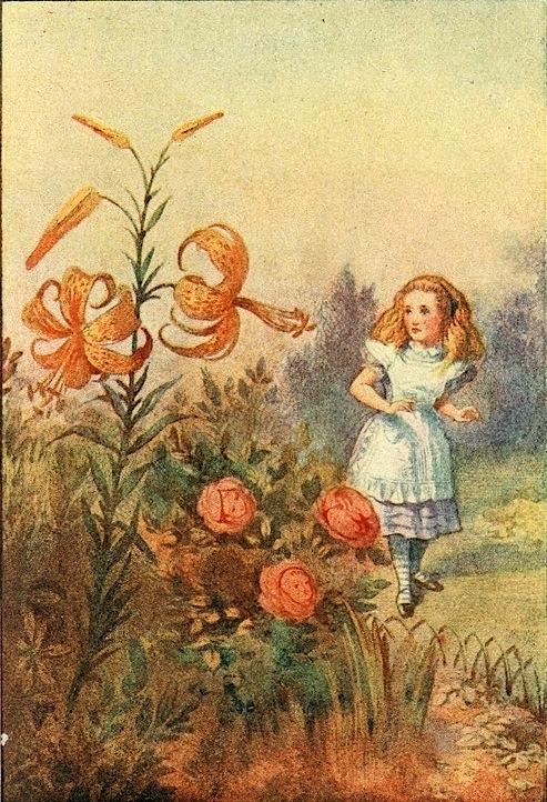 magictransistor:  Alice’s Adventures In Wonderland by Lewis Carril (Macmillan & Co.) First edition, 1866.  Sir John Tenniel (Harry G. Theaker colour-plates), Alice’s Adventures in Wonderland (Macmillan & Co.), London,  1911.