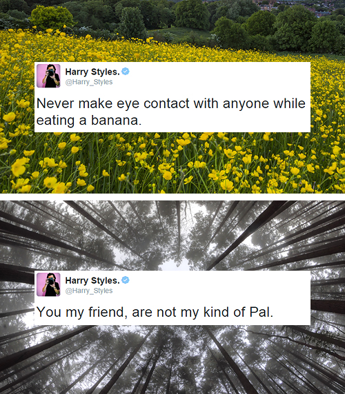 babustyles:  Donate during 21 days of Harry: Day 3. Best tweet(s) 