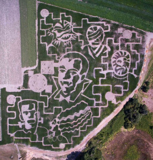 learnhowtoadult:  publishingcrawl:  bookriot:  Literary corn mazes  These are AMAZING.  aliens got eclectic taste in film and literature is all i’m sayin’ 