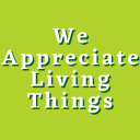 Things to appreciate