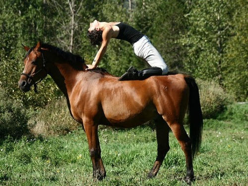 Because who doesn&rsquo;t want to do yoga on a horse?  Follow alwaysbeautiful23 for more fitness, he