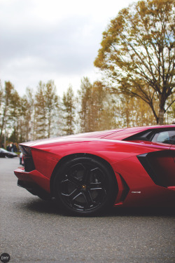 dhylife:  Aventador by DHY Photography 