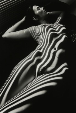 vivipiuomeno:  Lucien Clergue ph. - Nu zébré avec tête - 1998 - Erica Jay 