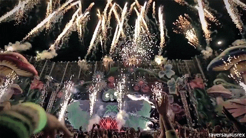 phar-tribe-clan:  dannyhiga:  raversaurusrex:  Electric Daisy Carnival Las Vegas 2013   Edc was bomb as fuck  It needs to come back here already. Living the nocturnal life in vegas isn’t the same