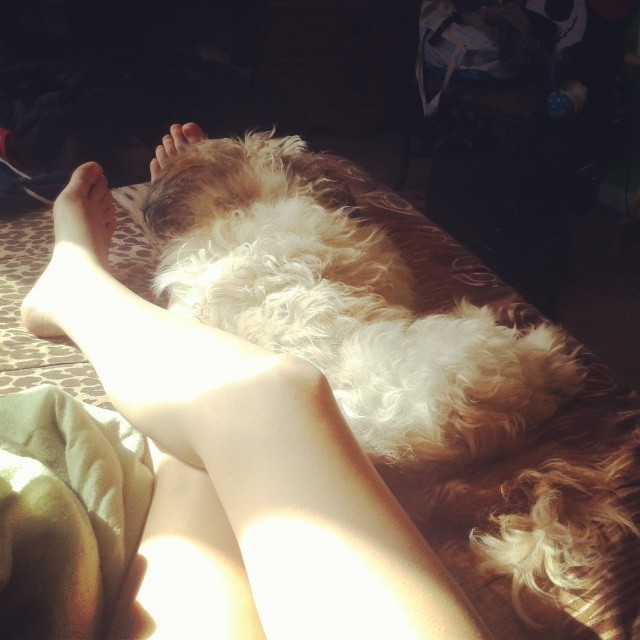 ifeetfetish:  Always by my feet #littleman  #footfetish by brittnaaayjohnson http://ift.tt/1k5bBGS