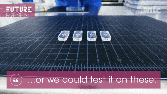 brigpod:  micdotcom:  Watch: These tiny “organ” chips could end animal testing