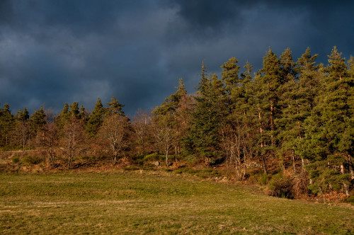 Under an intense skyArdèche, December 2020