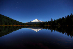 brutalgeneration:  Lake Trillium Moonlight