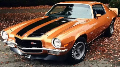 Classic GM Muscle