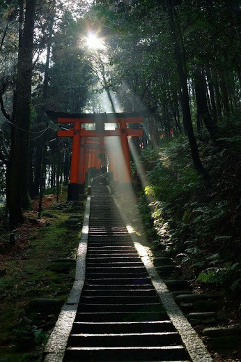 Gate to prayer, Fushimi Inari Taisha Shrine, Kyoto, Japan