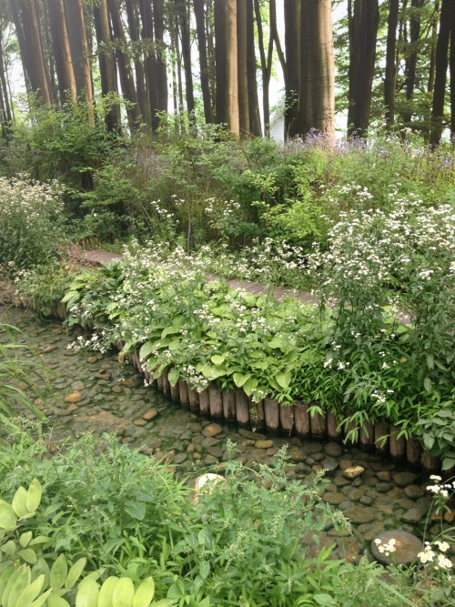 There’s this place in Korea, and it’s really fantastic because it looks like a forest in