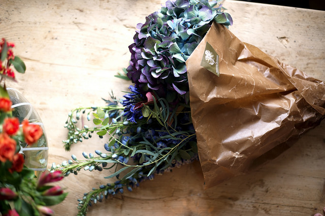 floralls:    by  elsa billgren  