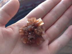 just-l-o-v-e-l-y-darling:  Acquired this funky aragonite star cluster and it’s super neato~  Awesome