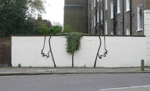 violaceae:  Banksy, Bush 