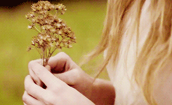 May these memories break our fall