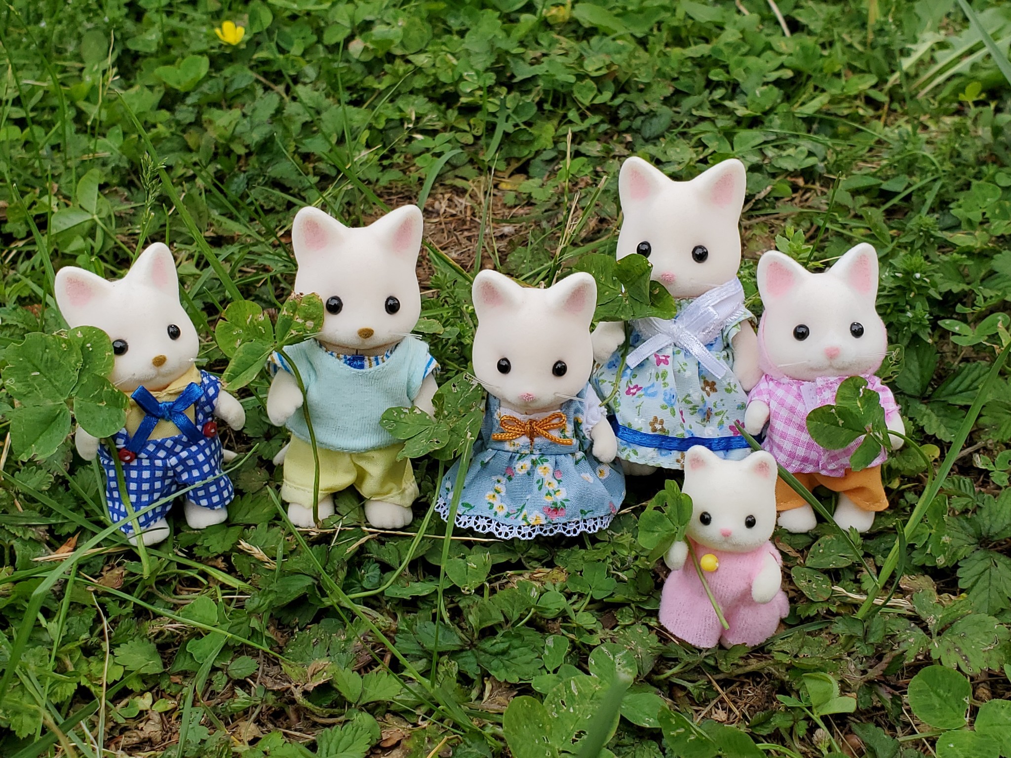 Sylvanian families panda family, Hobbies & Toys, Collectibles &  Memorabilia, Fan Merchandise on Carousell