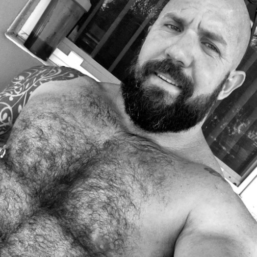 hairychestg:  abeautifulindiscretion:  Bear In Mind   hairychestg 