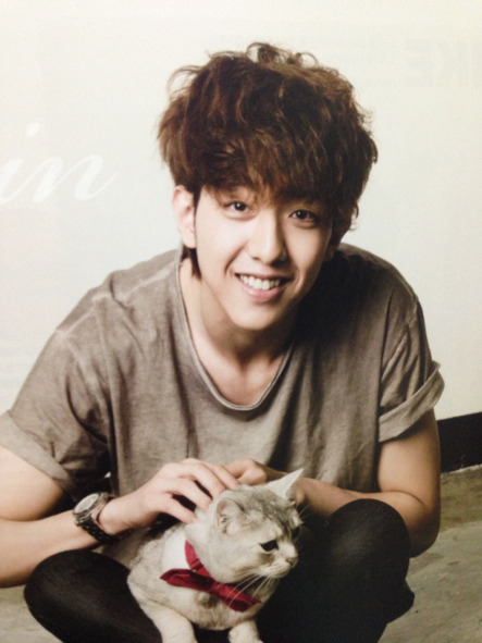 beeichigo:  The FNC magazine  cr dc gall 