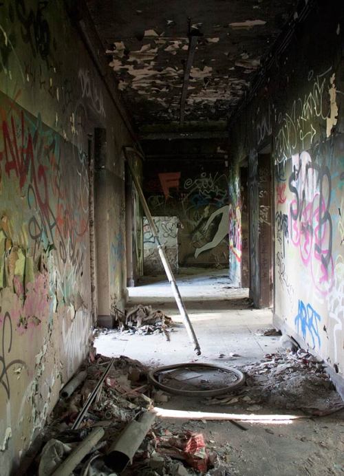 artmonia:  Escape from Wuhlheide Project by Dutch Street Artist Daan Botlek.