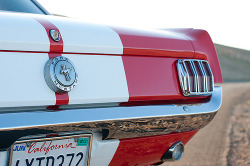 wavesarebreaking:  66’ Ford Mustang.  wavesarebreaking - welcome to my world of retro. 