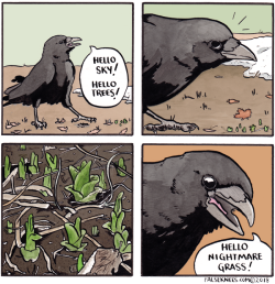 falseknees:  Hello crow!